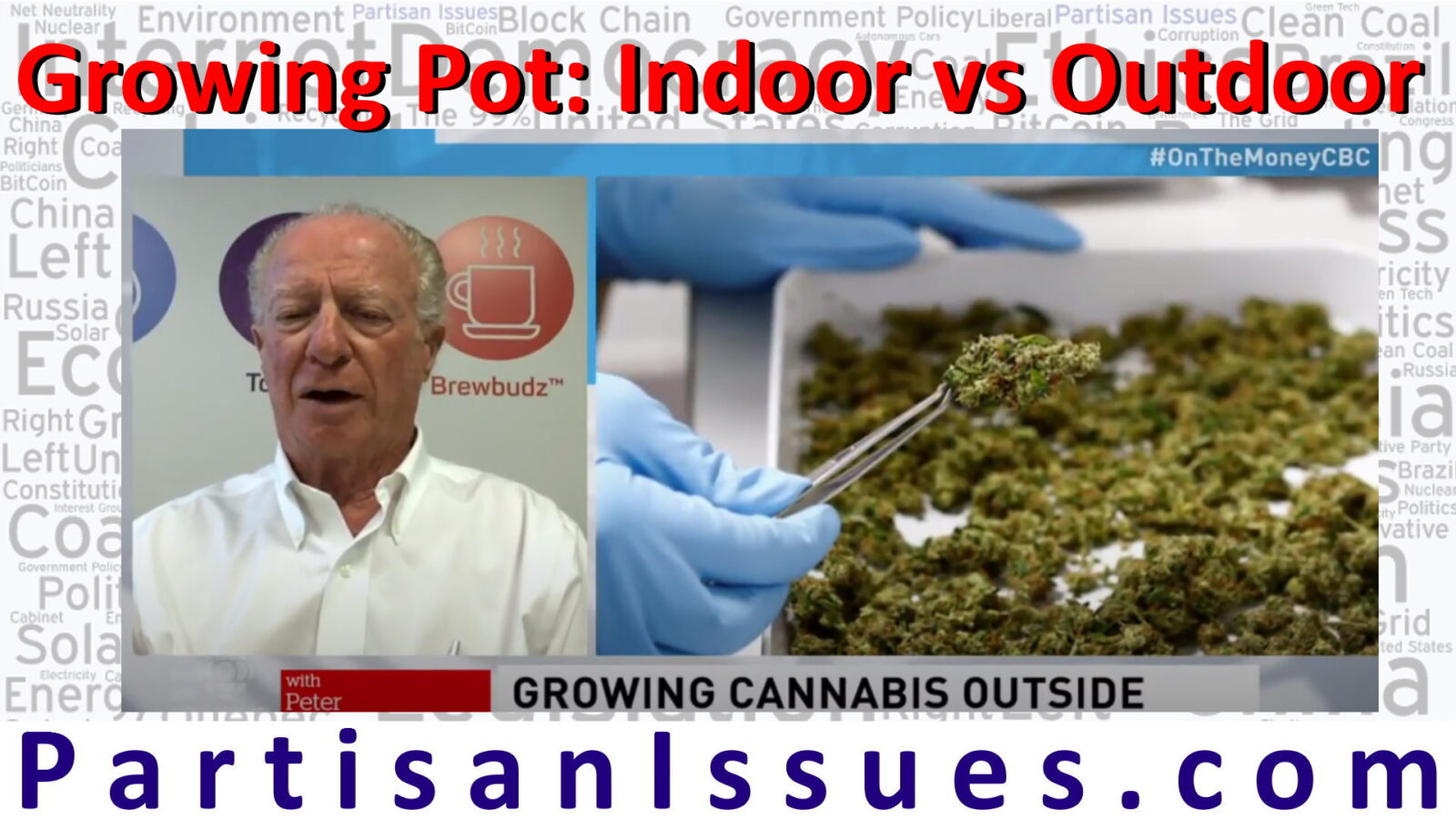 cost of growing pot indoor vs outdoor