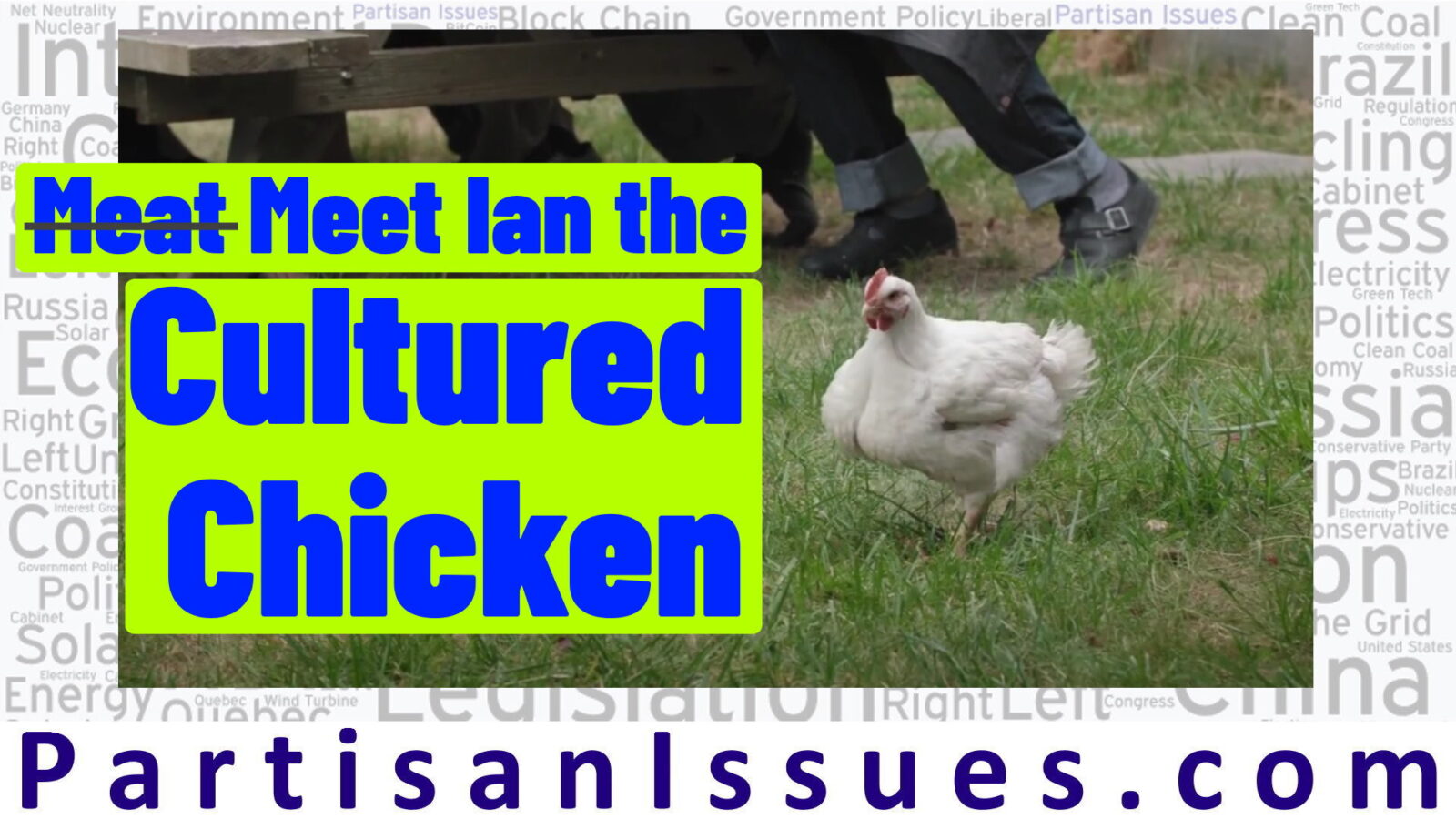 Meat Meet Ian the Cultured Chicken