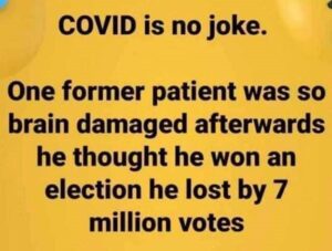 covid brain damage - us election results