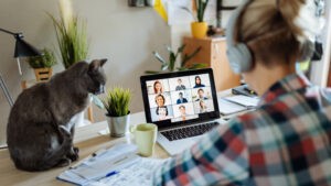work from home women with cat and laptop computer