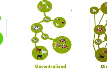 centralized decentralized distributed web graphic
