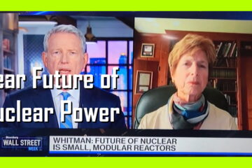 Near Future of Nuclear Power